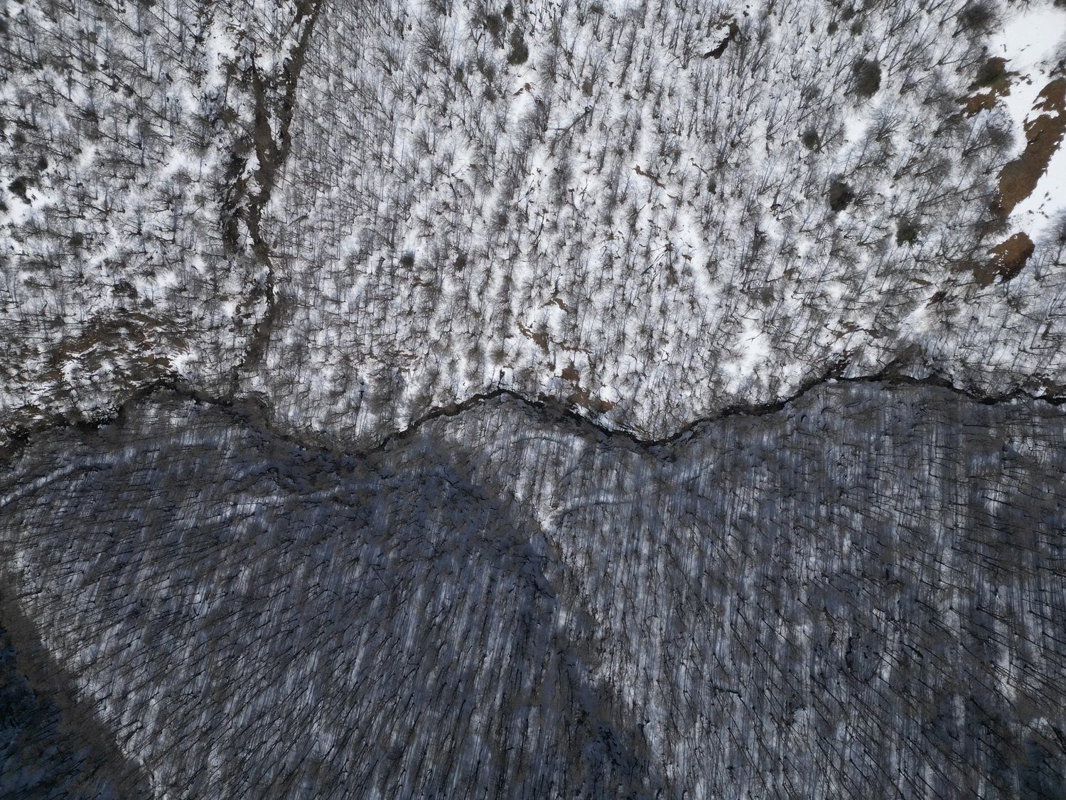 DJI_0083_